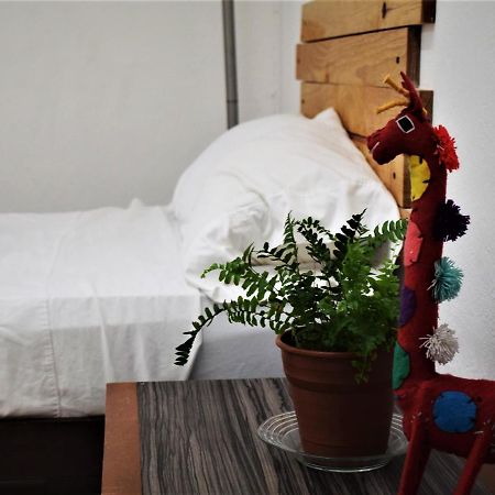 Hostal Casa Bohemia Меріда Екстер'єр фото