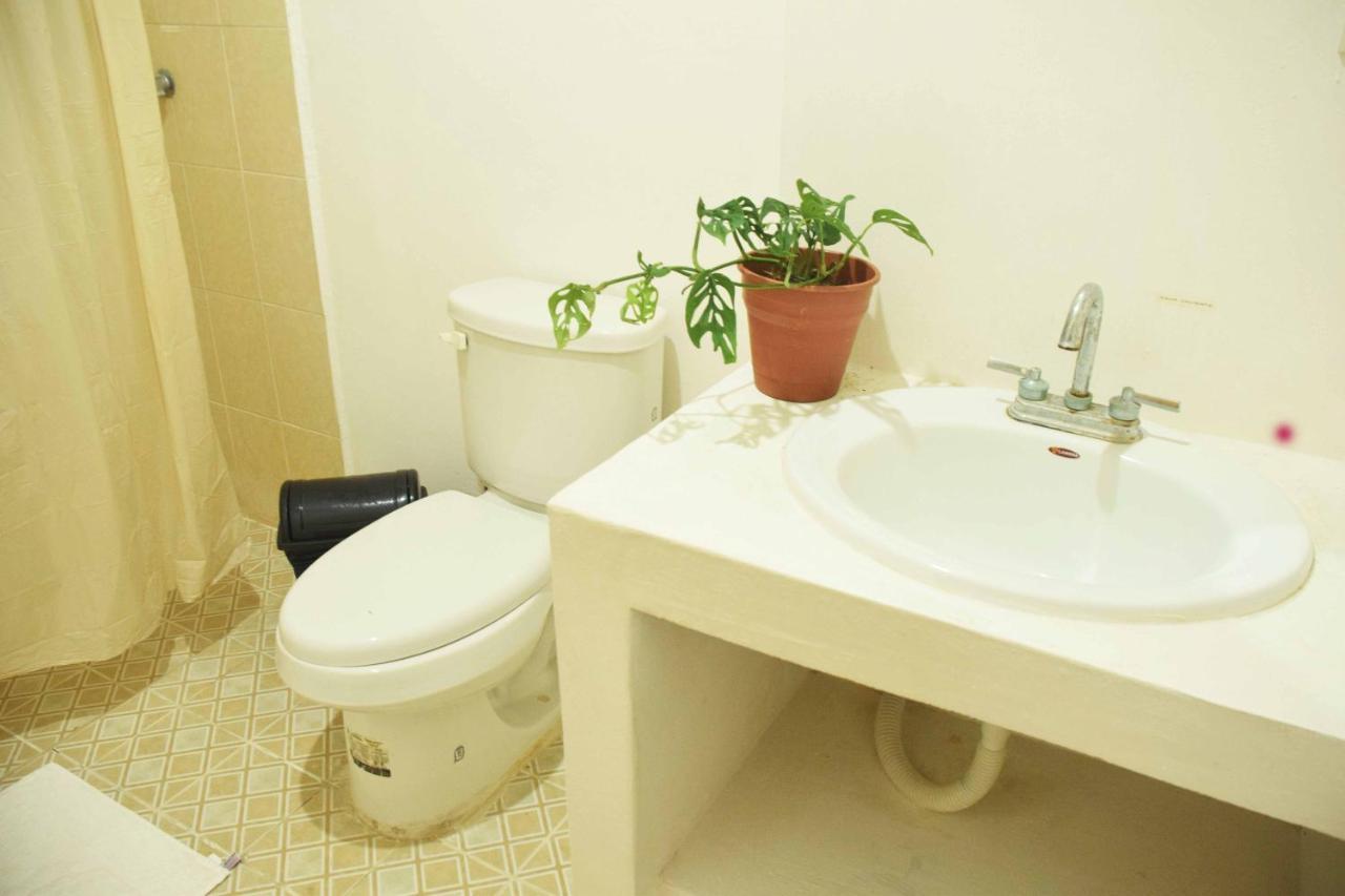 Hostal Casa Bohemia Меріда Екстер'єр фото