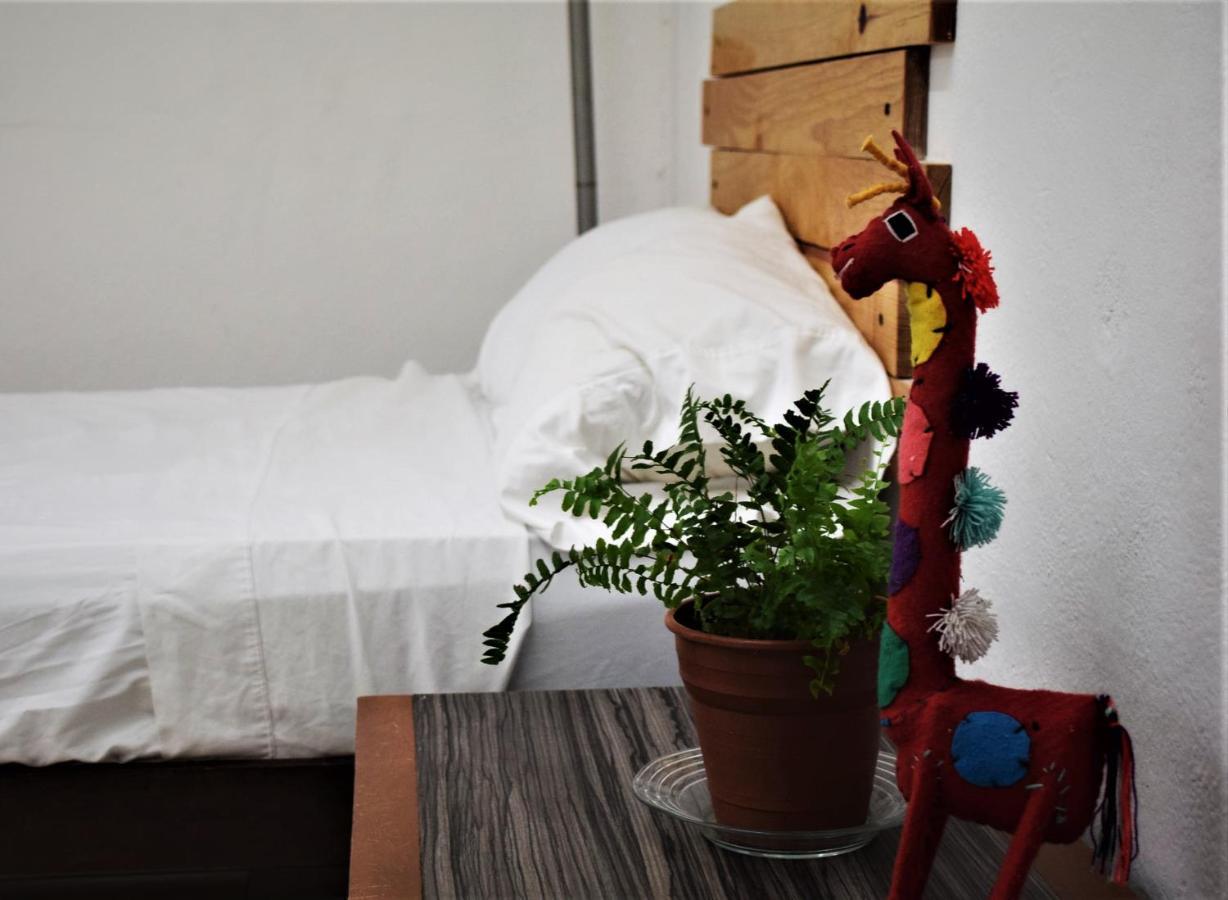 Hostal Casa Bohemia Меріда Екстер'єр фото